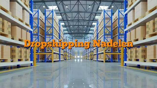 Dropshipping Nadelen
