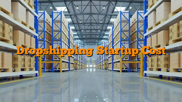 Dropshipping Startup Cost