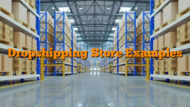 Dropshipping Store Examples