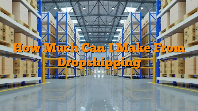 How Much Can I Make From Dropshipping