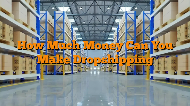 How Much Money Can You Make Dropshipping