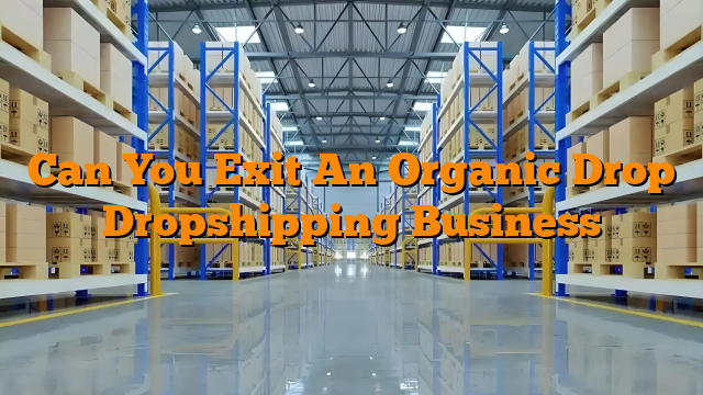 Can You Exit An Organic Drop Dropshipping Business Can You Exit An Organic Drop Dropshipping Business