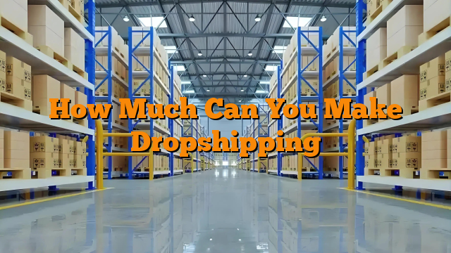 How Much Can You Make Dropshipping